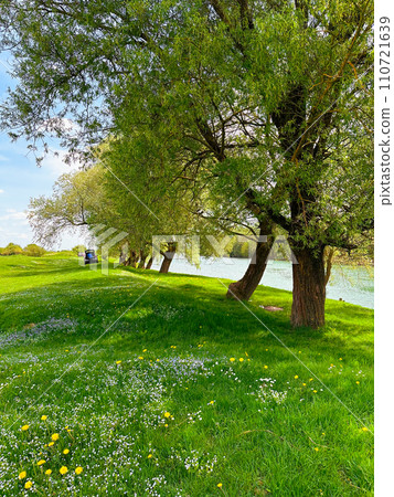 landscape with a green lawn, trees and a river landscape with a green lawn, trees and a river 110721639