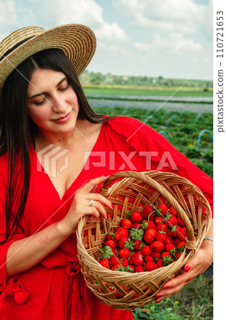Stunning woman in red dress gathering Strawberries at the farm 110721653