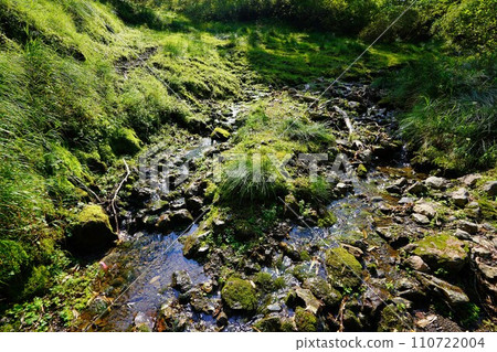 石灸嶽山脊營地指定區域水潭溪流 110722004