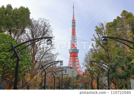 Tokyo Tower seen from Shiba Park, Minato Ward, Tokyo 110722080