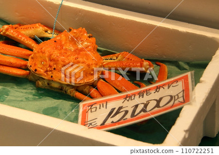Kano crab (Omicho Market: Kanazawa City, Ishikawa Prefecture) 110722251