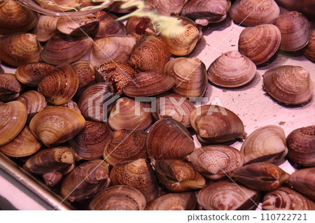 蛤蜊（近江町市場：石川縣金澤市） 110722721