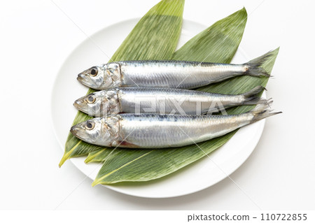 Sardines on a white background 110722855