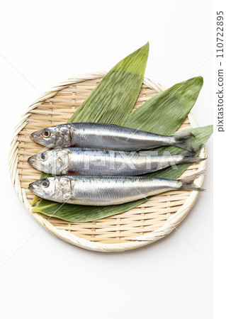 Sardines on a white background Sardines on a white background 110722895