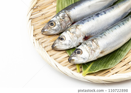 白色背景上的沙丁魚 白色背景上的沙丁魚 110722898
