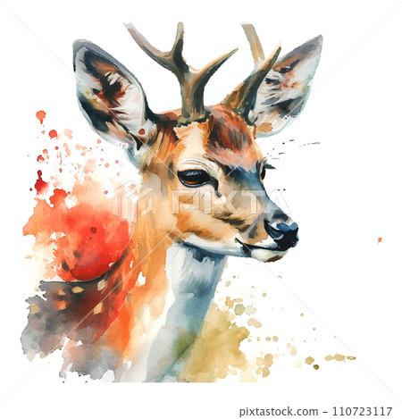 Wildlife deer watercolor illustration on white background Wildlife deer watercolor illustration on white background 110723117