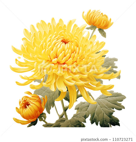 Meticulous yellow chrysanthemum, Chinese art, white background Meticulous yellow chrysanthemum, Chinese art, white background 110723271