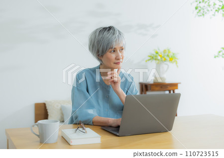 Senior woman using a laptop 110723515