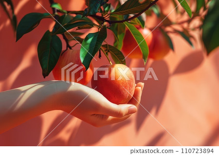 AI-generated content. Close-Up of a Hand Gently Picking a Ripe Peach From a Tree on a Sunny Day 110723894