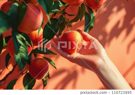 AI-generated content. Close-Up of a Hand Gently Picking a Ripe Peach From a Tree on a Sunny Day 110723895