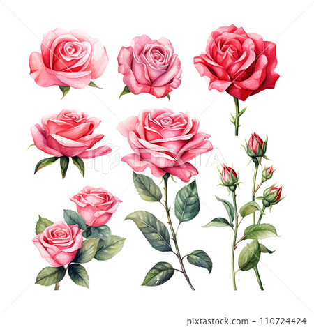 Valentine's Day Rose set watercolor Valentine's Day Rose set watercolor 110724424