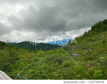 The view from Ikenotaira Wetland 110726442