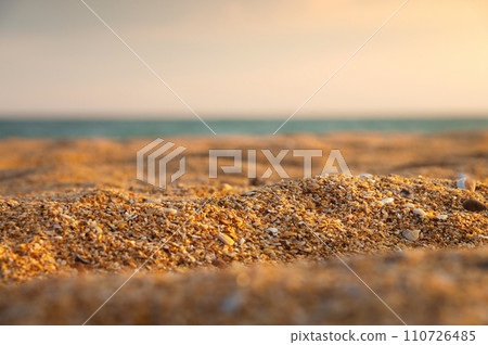 Close-up of shell golden sand in shallow depth of field with sea or ocean in the background at sunset. Marine background in warm colors Close-up of shell golden sand in shallow depth of field with sea or ocean in the background at sunset. Marine background in warm colors 110726485