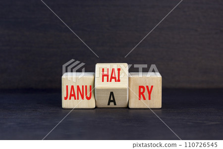 Januhairy or January symbol. Concept words Januhairy or January on beautiful wooden blocks. Beautiful black table black background. Social issues Januhairy or January concept. Copy space. 110726545