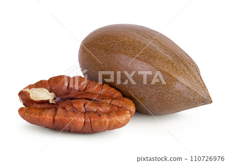 pecan nut isolated on white background with full depth of field 110726976