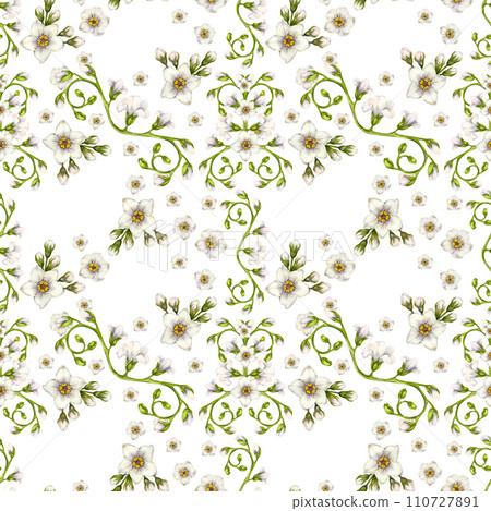Beautiful watercolor seamless pattern of white forget-me-not flowers for Easter, wedding, Mother's, Valentine's Day, birthday, spring and summer fabrics, clipart, stickers, wallpapers, templates Beautiful watercolor seamless pattern of white forget-me-not flowers for Easter, wedding, Mother's, Valentine's Day, birthday, spring and summer fabrics, clipart, stickers, wallpapers, templates 110727891