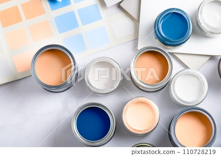 Choosing wall paints 110728219