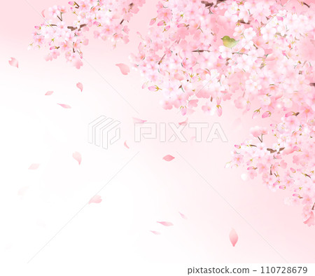 Cute light pink cherry blossom flowers and dace petals spring watercolor style frame background material illustration Cute light pink cherry blossom flowers and dace petals spring watercolor style frame background material illustration 110728679