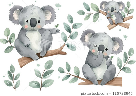 Set of koala, different poses watercolor style, adorable, white background 110728945