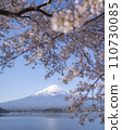 富士和櫻花 110730085