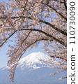 富士和櫻花 110730090