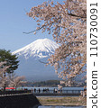 富士和櫻花 110730091