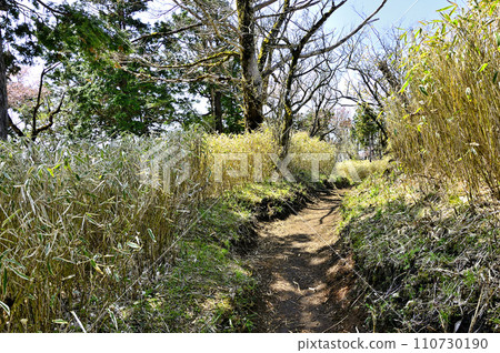 春天的丹澤、丹澤幹流、龍河馬場山頂 110730190