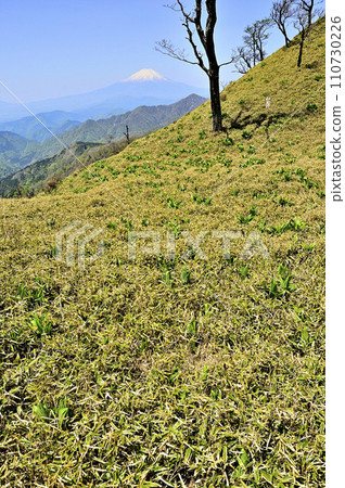 丹澤山 - 春天從丹澤山眺望富士山 110730226
