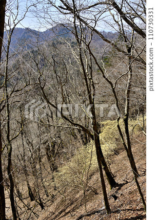 Unesugamaru in Nishitanzawa, overlooking the Mitsumata flowering forest and Mt. Byobu Rock 110730331