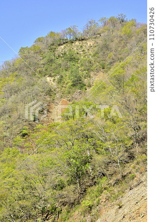 Tanzawa Mountains in spring, sledding off Hidaka East Ridge, view of fresh green Hidaka from Mt. Judake 110730426