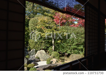 Motonobu's garden seen from the Hojo, Taizo-in, Myoshin-ji Temple Motonobu's garden seen from the Hojo, Taizo-in, Myoshin-ji Temple 110731730
