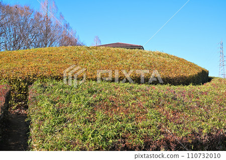 Winter flower bed winter scenery 110732010