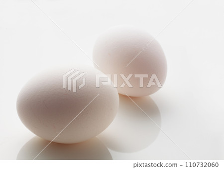 An egg 110732060