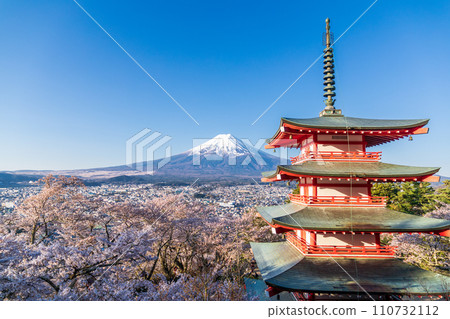 "Yamanashi Prefecture" Cherry blossoms and snow, Mt. Fuji seen from Arakurayama Sengen Park 110732112