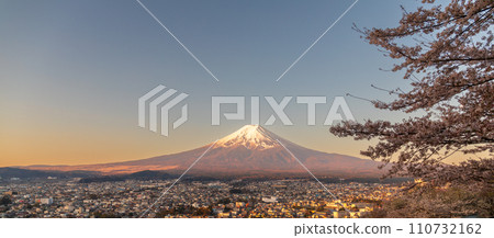 Mt. Fuji and cherry blossoms in the morning glow seen from Arakurayama Sengen Park in Yamanashi Prefecture 110732162