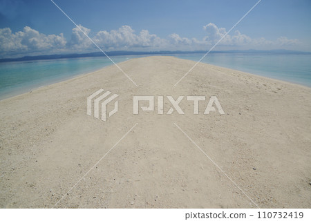 The Kalanggaman island's clean white sand beaches. Can see as far as the eye can see on a sunny day. 110732419