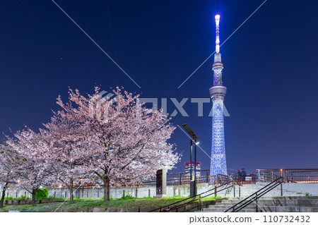 Night cherry blossoms and Tokyo Skytree viewed from Sumida Park in Tokyo Night cherry blossoms and Tokyo Skytree viewed from Sumida Park in Tokyo 110732432