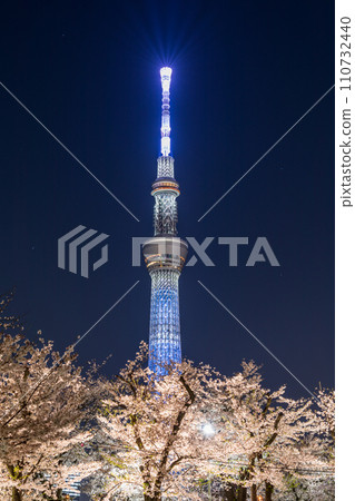 從東京墨田公園欣賞夜櫻和東京晴空塔 從東京墨田公園欣賞夜櫻和東京晴空塔 110732440