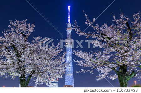 從東京墨田公園欣賞夜櫻和東京晴空塔 110732458