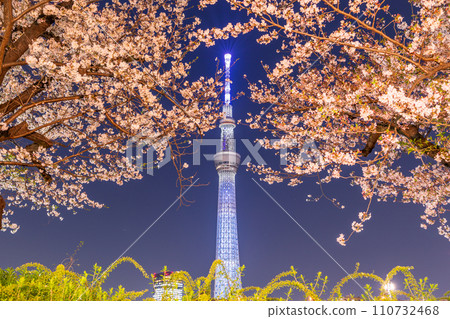 Night cherry blossoms and Tokyo Skytree viewed from Sumida Park in Tokyo Night cherry blossoms and Tokyo Skytree viewed from Sumida Park in Tokyo 110732468