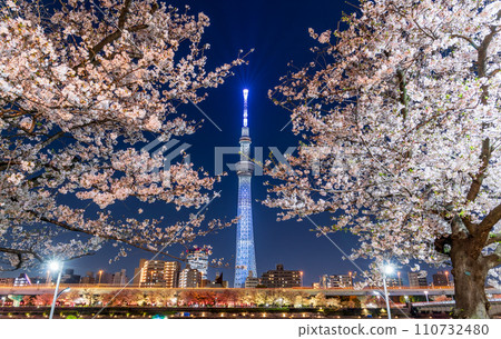 Night cherry blossoms and Tokyo Skytree viewed from Sumida Park in Tokyo Night cherry blossoms and Tokyo Skytree viewed from Sumida Park in Tokyo 110732480