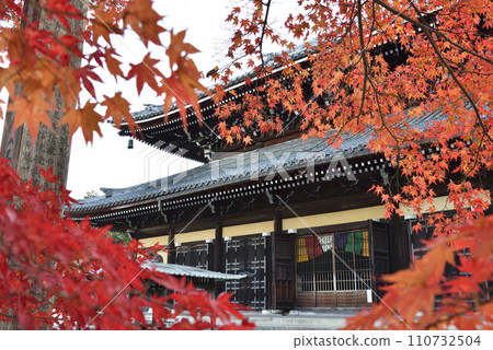 南禪寺,一座被楓樹環繞的佛教寺廟 南禪寺,一座被楓樹環繞的佛教寺廟 110732504