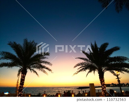 The sea, palm trees, and dusk at Mihama American Village, Chatan Town, Okinawa Prefecture 110732563
