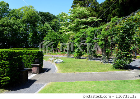 Nanatsudo Park 2023-5-4 #43 110733132