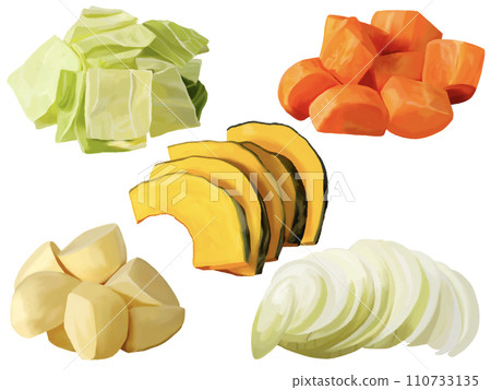 切蔬菜（高麗菜、胡蘿蔔、南瓜、馬鈴薯、洋蔥） 110733135