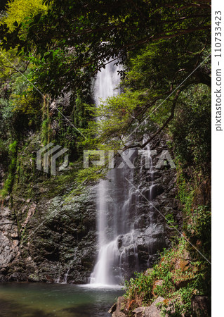 Minoo瀑布 Minoo瀑布 110733423