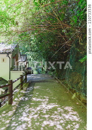 鄉村小路 鄉村小路 110733536