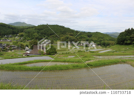 大阪府能勢町長谷梯田 (大阪府) 大阪府能勢町長谷梯田 (大阪府) 110733718
