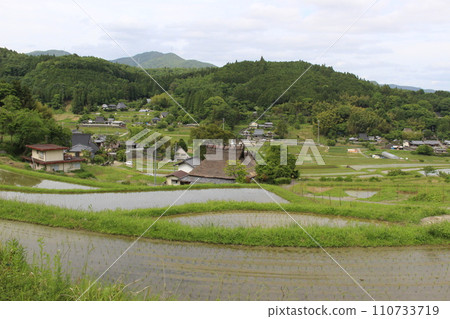 Hase Rice Terraces, Nose Town, Osaka Prefecture (Osaka Prefecture) Hase Rice Terraces, Nose Town, Osaka Prefecture (Osaka Prefecture) 110733719
