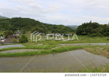 Hase Rice Terraces, Nose Town, Osaka Prefecture (Osaka Prefecture) Hase Rice Terraces, Nose Town, Osaka Prefecture (Osaka Prefecture) 110733720